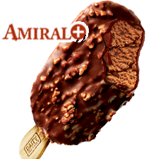 Double Chocolate Ice Cream