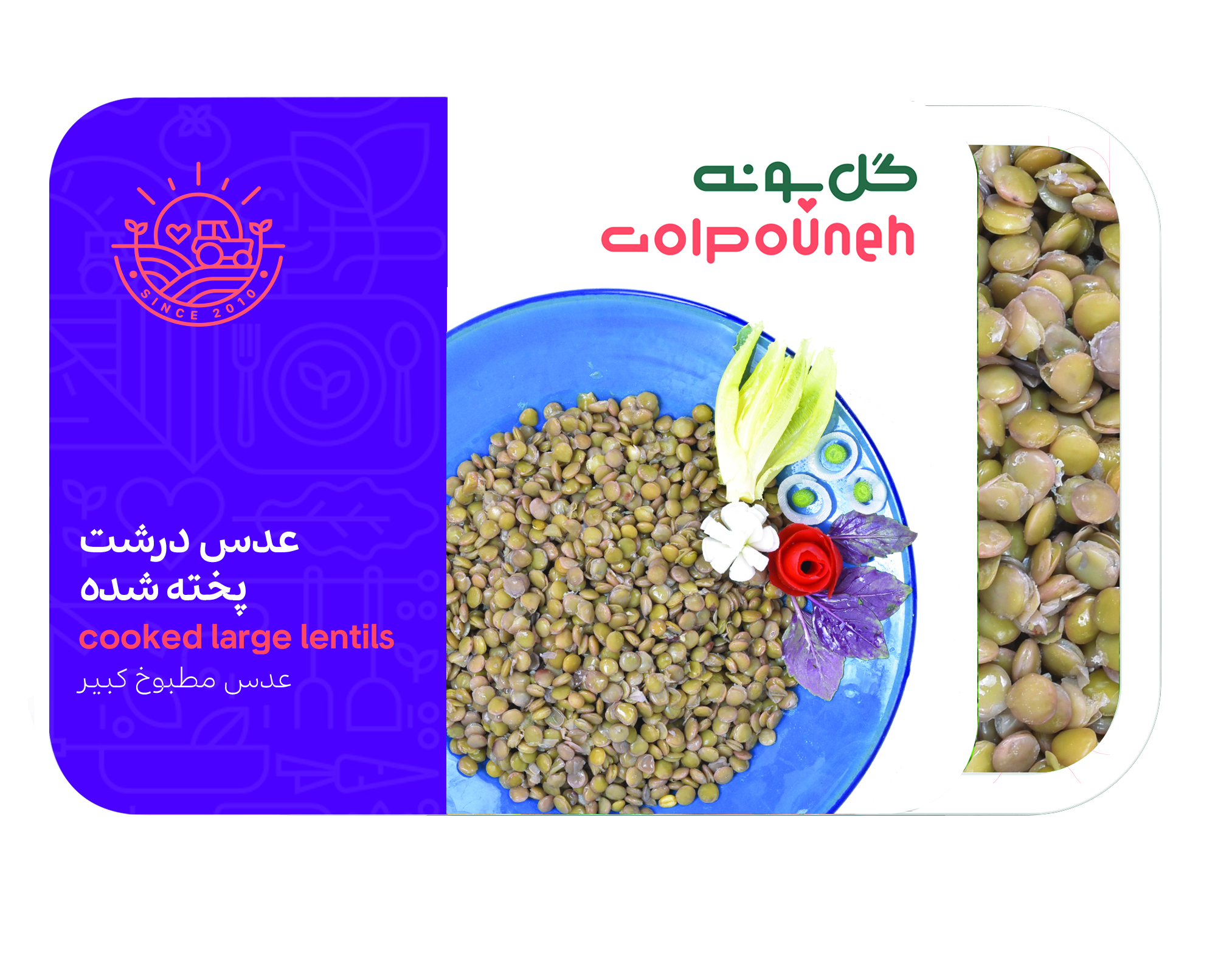 عدس درشت پخته